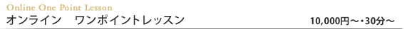 オンライン　ワンポイントレッスン